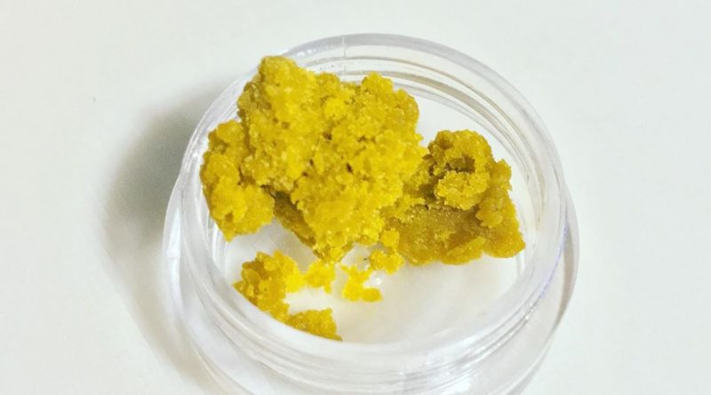 haze wax by regulator xtracts concentrate review by 502strainsheet