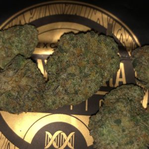 hectane by grandiflora genetics strain review by qsexoticreviews 2