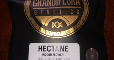 hectane by grandiflora genetics strain review by qsexoticreviews