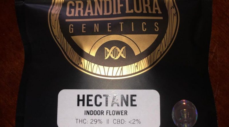 hectane by grandiflora genetics strain review by qsexoticreviews