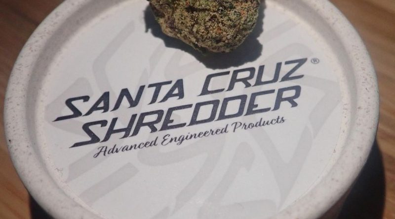 hemp shredder by santa cruz shredder grinder review by the_originalcannaseur