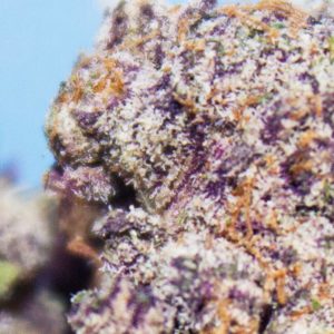 holy cow by jelly cannabis co. strain review by bigwhiteash 2