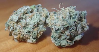 holy grail kush by dna genetics strain review by the_originalcannaseur