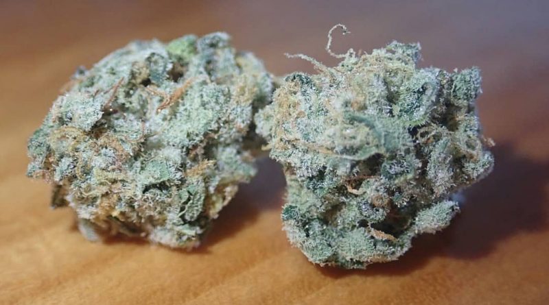 holy grail kush by dna genetics strain review by the_originalcannaseur