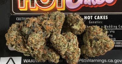 hot cakes by jungle boys strain review by boofbusters420