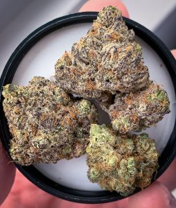 icc by true genetics strain review by budfinderdc