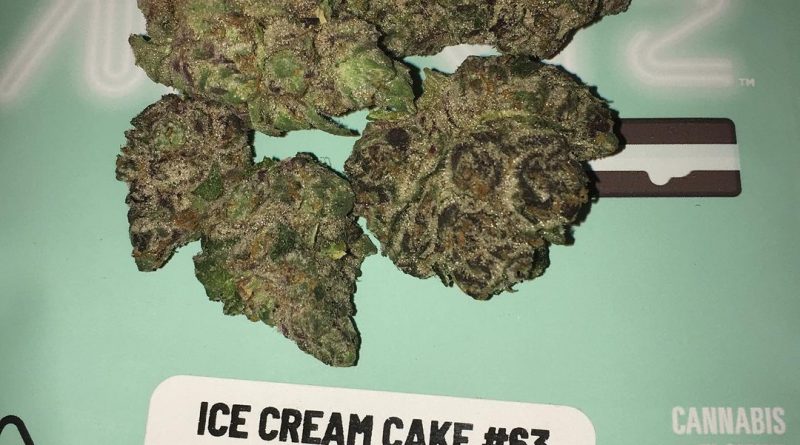 ice cream cake #63 by seed junky genetics strain review by boofbusters420