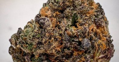 ice cream cake by georgetown flavors strain review by budfinderdc