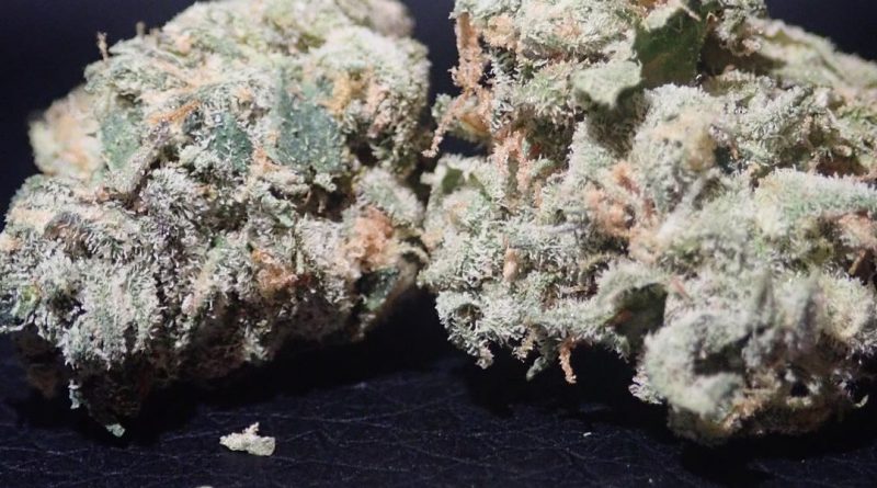 ice cream cake from the cali club tenerife strain review by the_originalcannaseur