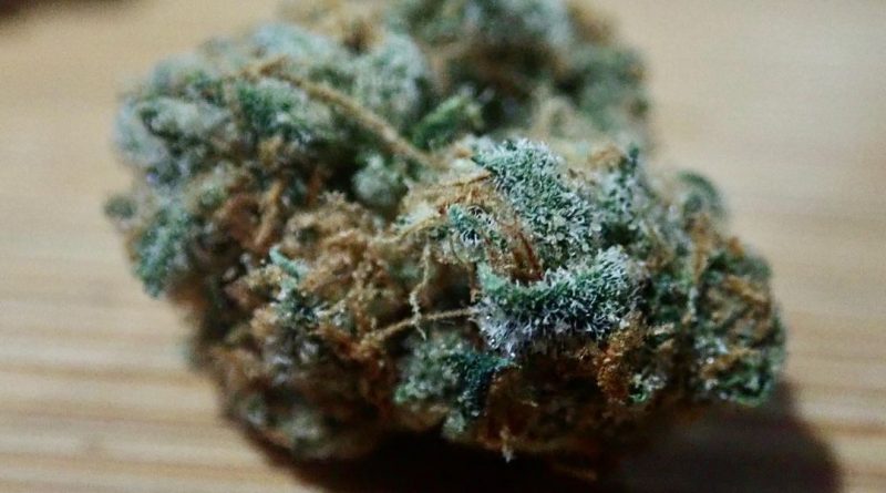 ice cream man by trichome factory strain review by the_originalcannaseur