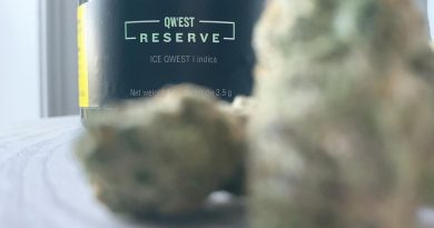 ice qwest by qwest reserve strain review by brandiisbaked