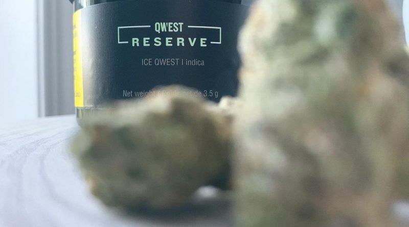 ice qwest by qwest reserve strain review by brandiisbaked