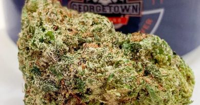 island berries by georgetown flavors strain review by budfinderdc