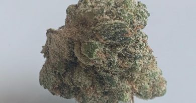 jet fuel from herbalize tenerife strain review by the_originalcannaseur