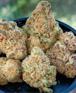 jungle juice by big al's exotis strain review by budfinderdc