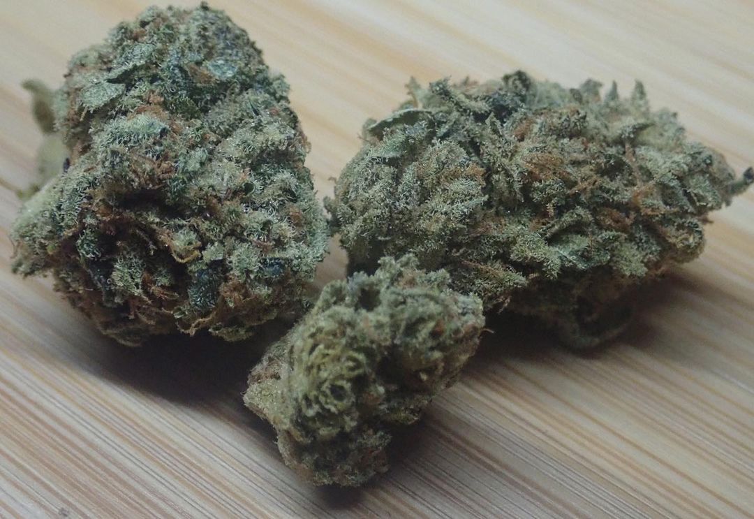 Strain Review: Kosher Kush by DNA Genetics - The Highest Critic