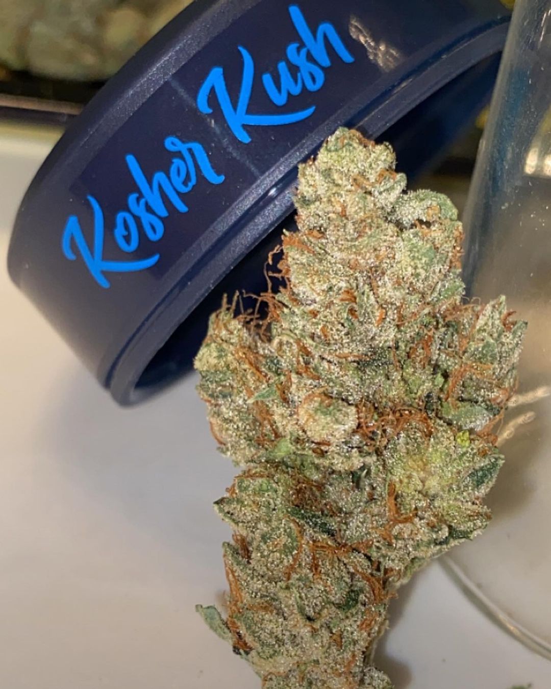 Strain Review: Kosher Kush by Grow Sciences - The Highest Critic