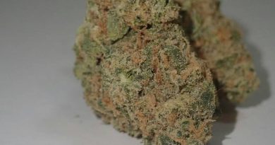 kush mints by verticalboyz strain review by the_originalcannaseur