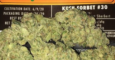 kush sorbet by jungle boys strain review by boofbusters420