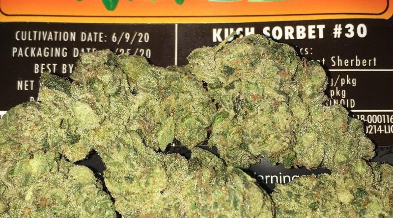 kush sorbet by jungle boys strain review by boofbusters420