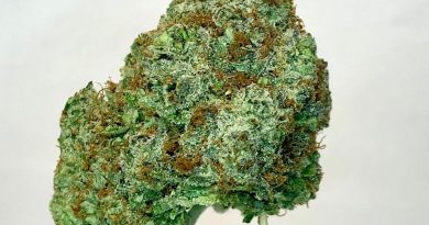 kushberry by dna genetics strain review by cannabsisseur604