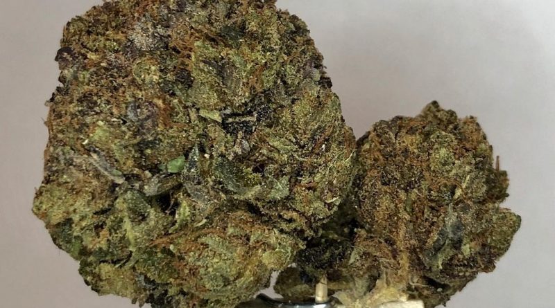 la ultra by resin seeds strain review by cannabisseur604