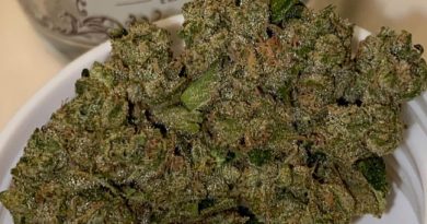 larry og by nectar farms strain review by slumpysmokes