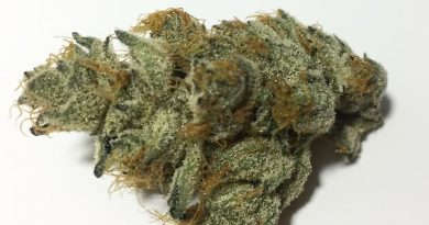 layer cake by rythm strain review by fullspectrumconnoisseur