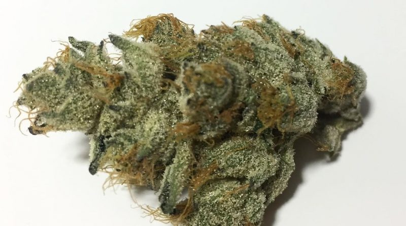 layer cake by rythm strain review by fullspectrumconnoisseur