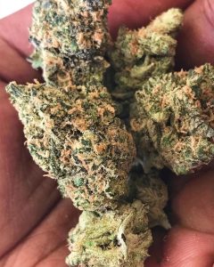 lemon cheesecake by heavyweight seeds strain review by budfinderdc