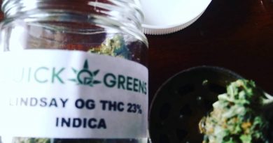 lindsay og by quick greens strain review by hippie_budz