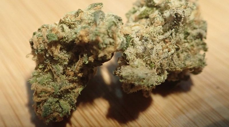 liquid imagination by compound genetics strain review by the_originalcannaseur