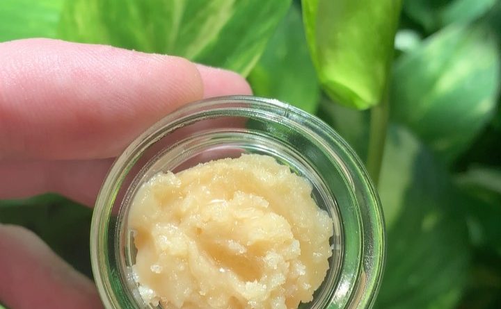 lobster budder by prezidential extracts concentrate review by budfinderdc