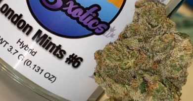 london mints #6 by house exotics strain review by slumpysmokes