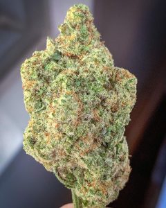mac 1 by entourage company strain review by budfinderdc