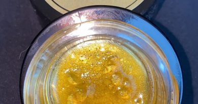 mac n cheese live resin by organic alternatives concentrate review by no.mids