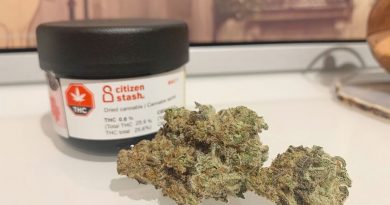 mac1 by citizen stash strain review by brandiisbaked