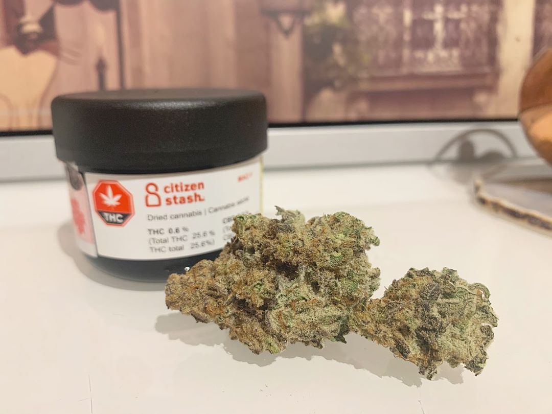 mac1 by citizen stash strain review by brandiisbaked