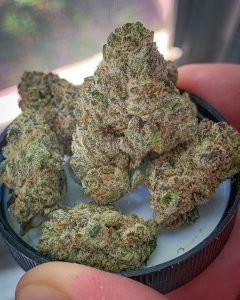 maqui by maqui strain review by budfinderdc 2