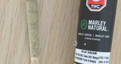 marley green preroll by marley natural strain review by brandiisbaked