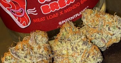 meat breath by potent planet strain review by slumpysmokes