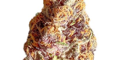 mendo montage by fabulous cannabis strain review by okcannacritic