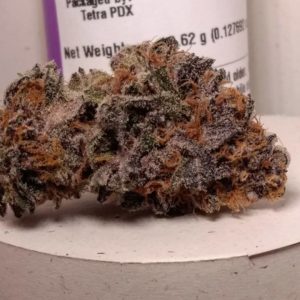 mendo ultraviolet by high noon cultivation strain review by pdxstoneman 2