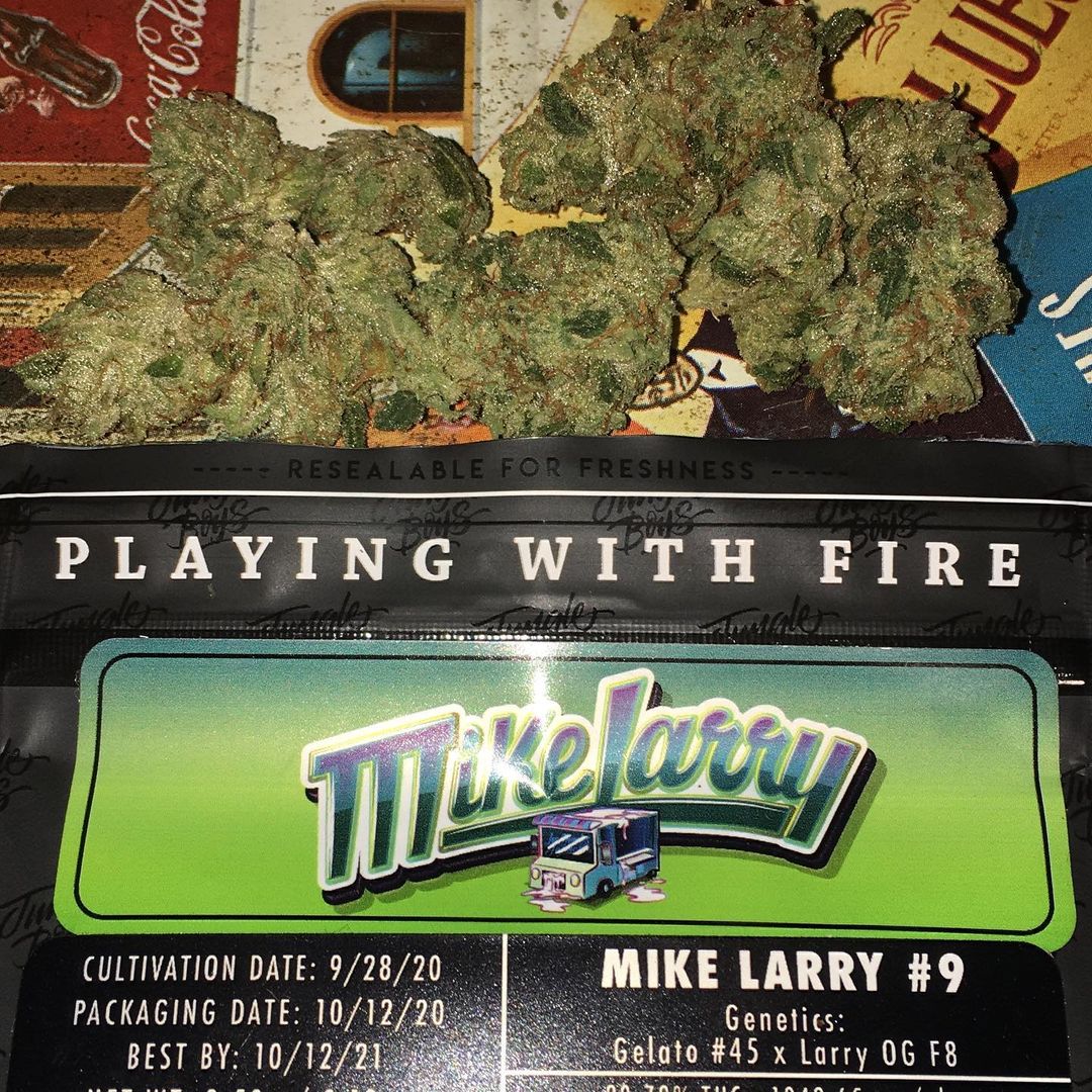 Strain Review Mike Larry 9 By Jungle Boys The Highest Critic