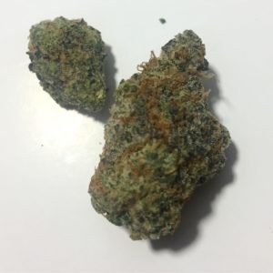 mint chocolate chip by revolution cannabis strain review by fullspectrumconnoisseur 2