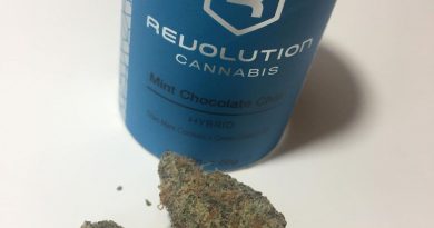 mint chocolate chip by revolution cannabis strain review by fullspectrumconnoisseur