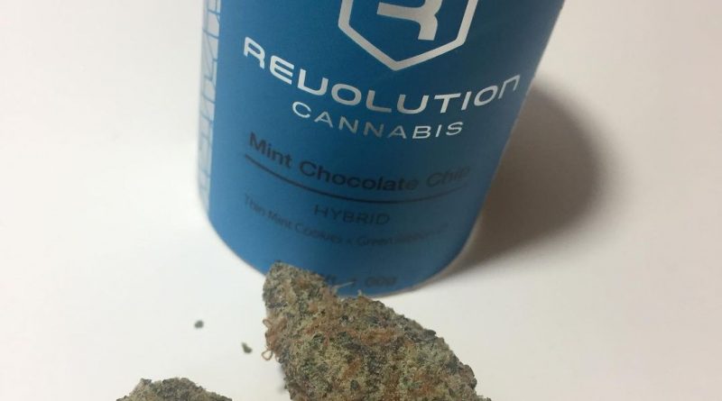 mint chocolate chip by revolution cannabis strain review by fullspectrumconnoisseur