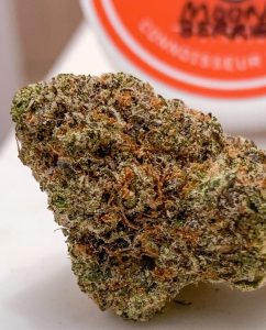 moon berries by georgetown flavors strain review by budfinderdc 2