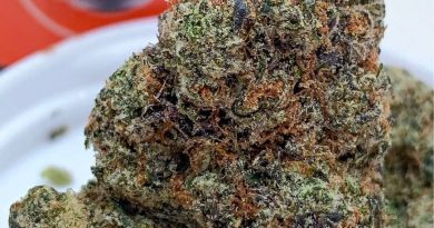 moon berries by georgetown flavors strain review by budfinderdc