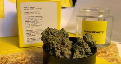 napali pink by pure beauty strain review by anna.smokes.canna